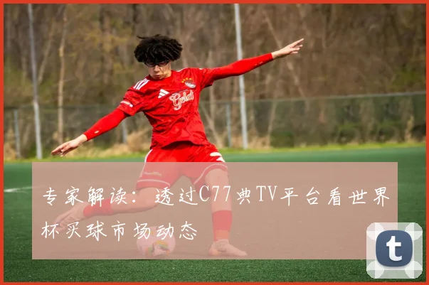 专家解读：透过C77典TV平台看世界杯买球市场动态