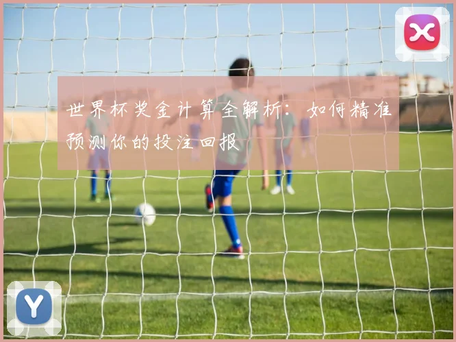 世界杯奖金计算全解析：如何精准预测你的投注回报
