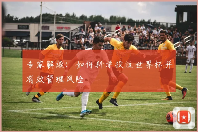 专家解读：如何科学投注世界杯并有效管理风险