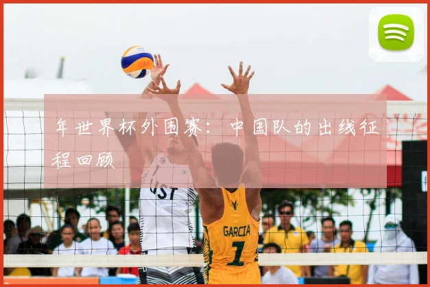 年世界杯外围赛：中国队的出线征程回顾